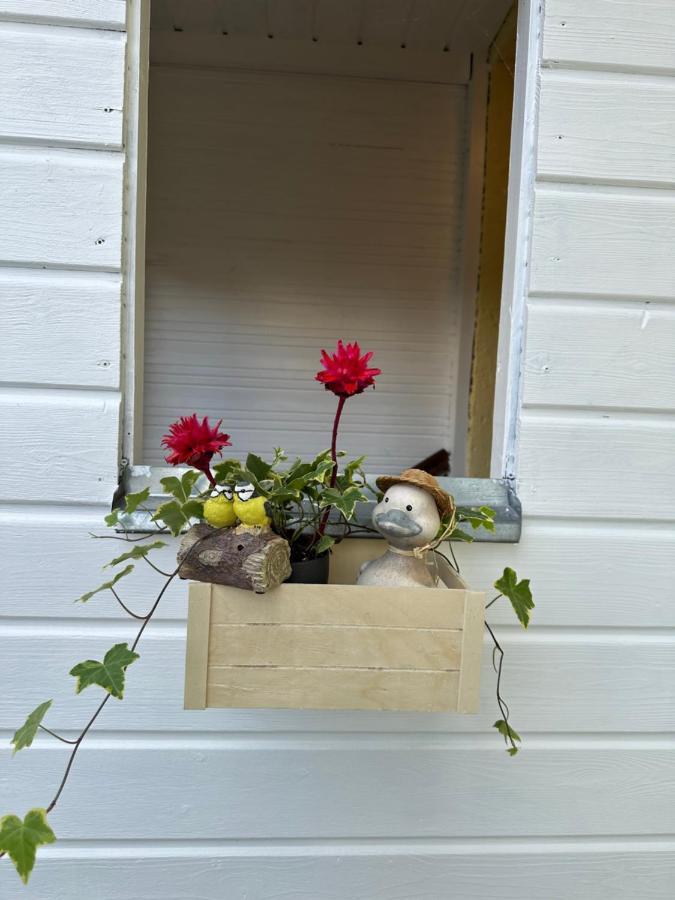 Green Paradise & Cozy Retreat Salzburg With Free Parking ภายนอก รูปภาพ